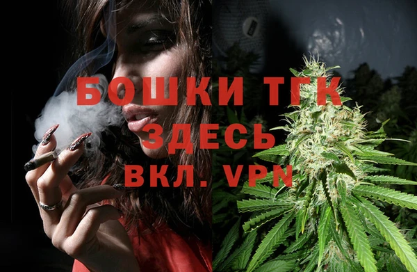 молекула духа Богородицк