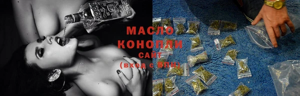 стаф Богданович