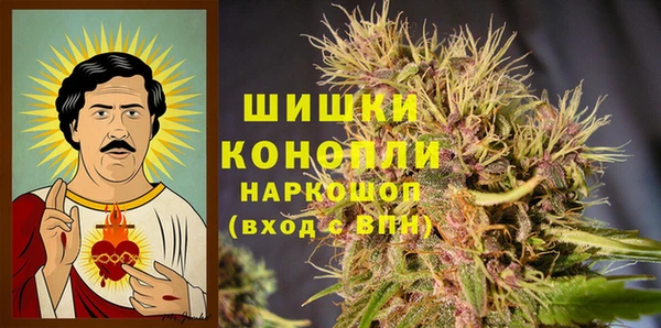 стаф Богданович