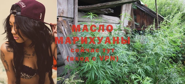 молекула духа Богородицк