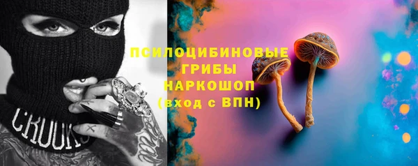 стаф Богданович