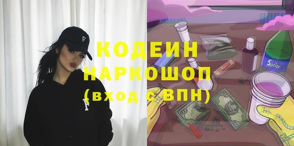 хмурый Богородск