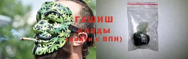 молекула духа Богородицк