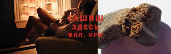 молекула духа Богородицк