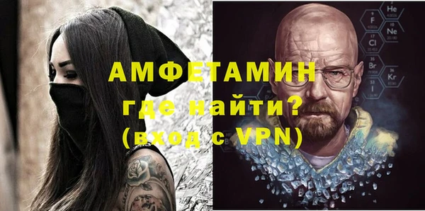 стаф Богданович