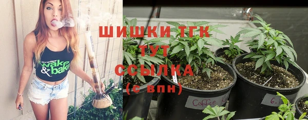 молекула духа Богородицк