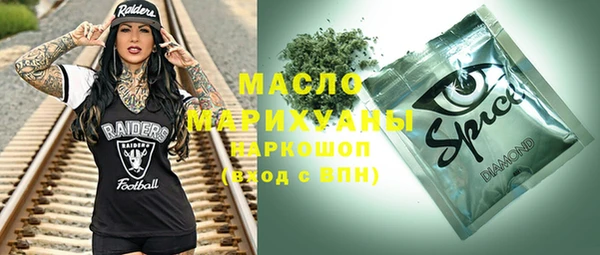 молекула духа Богородицк