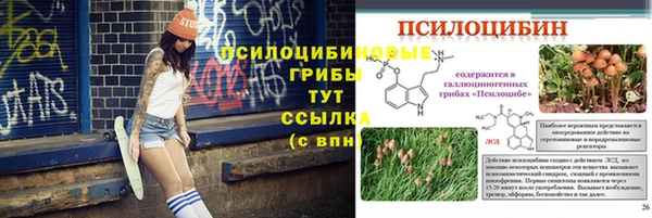 молекула духа Богородицк