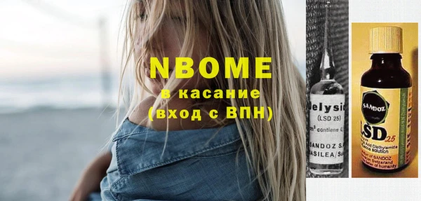 стаф Богданович
