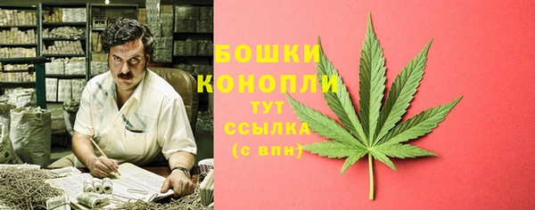 хмурый Богородск