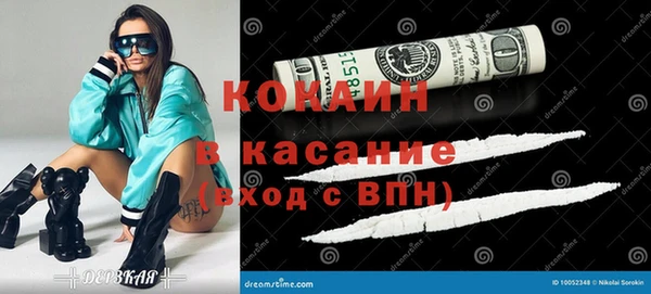 молекула духа Богородицк