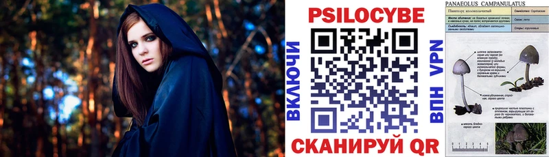 Псилоцибиновые грибы Cubensis  где найти наркотики  площадка клад  Донской  кракен ссылки 